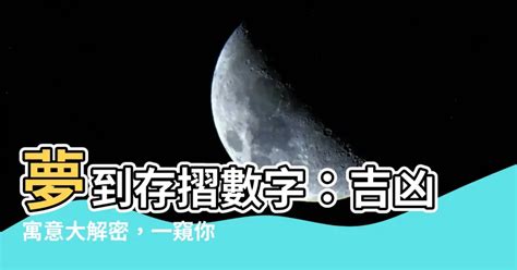 魚代表數字|夢到魚代表數字